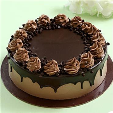 Chocolate Cake 