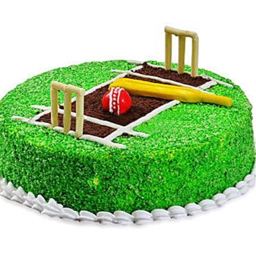 Cricket Pitch Classic Cake 